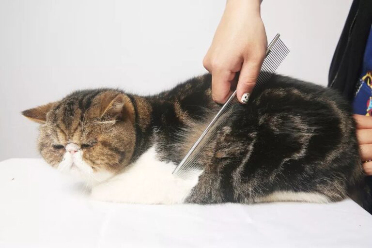 百健(BIIB.US) Q2业绩超预期,阿尔茨海默药热销推动盈利指引上调