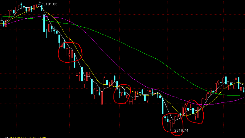 覃塘区多部门开展“校园餐”联合检查