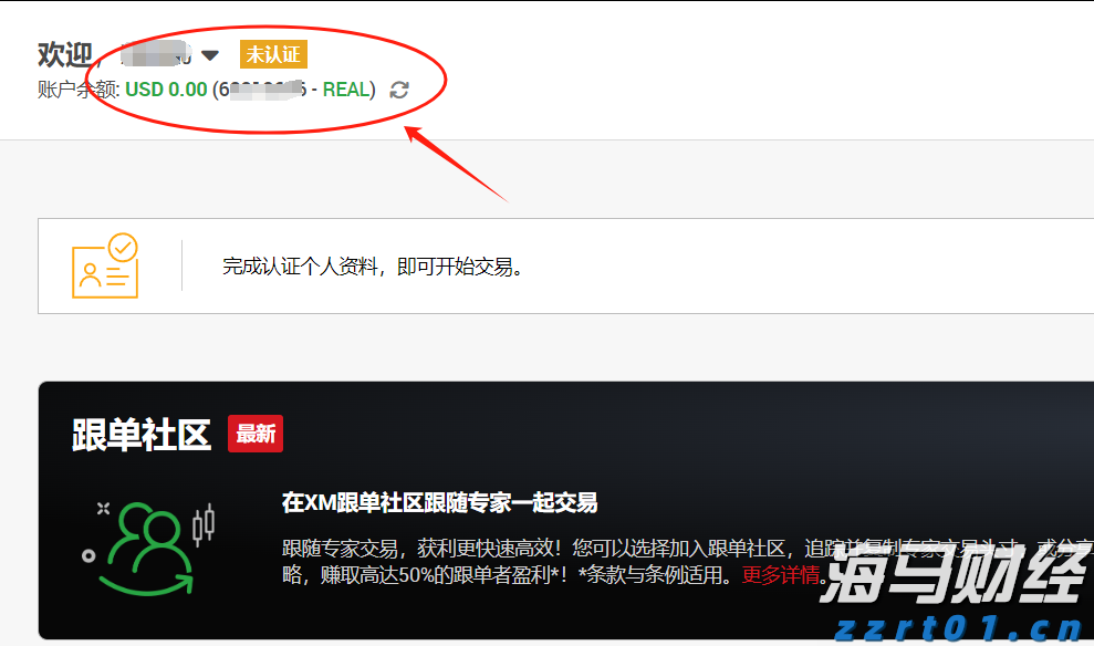紧急医疗支援2位海外受伤客户,中国平安密切推进美国黄石交通事故急难救援
